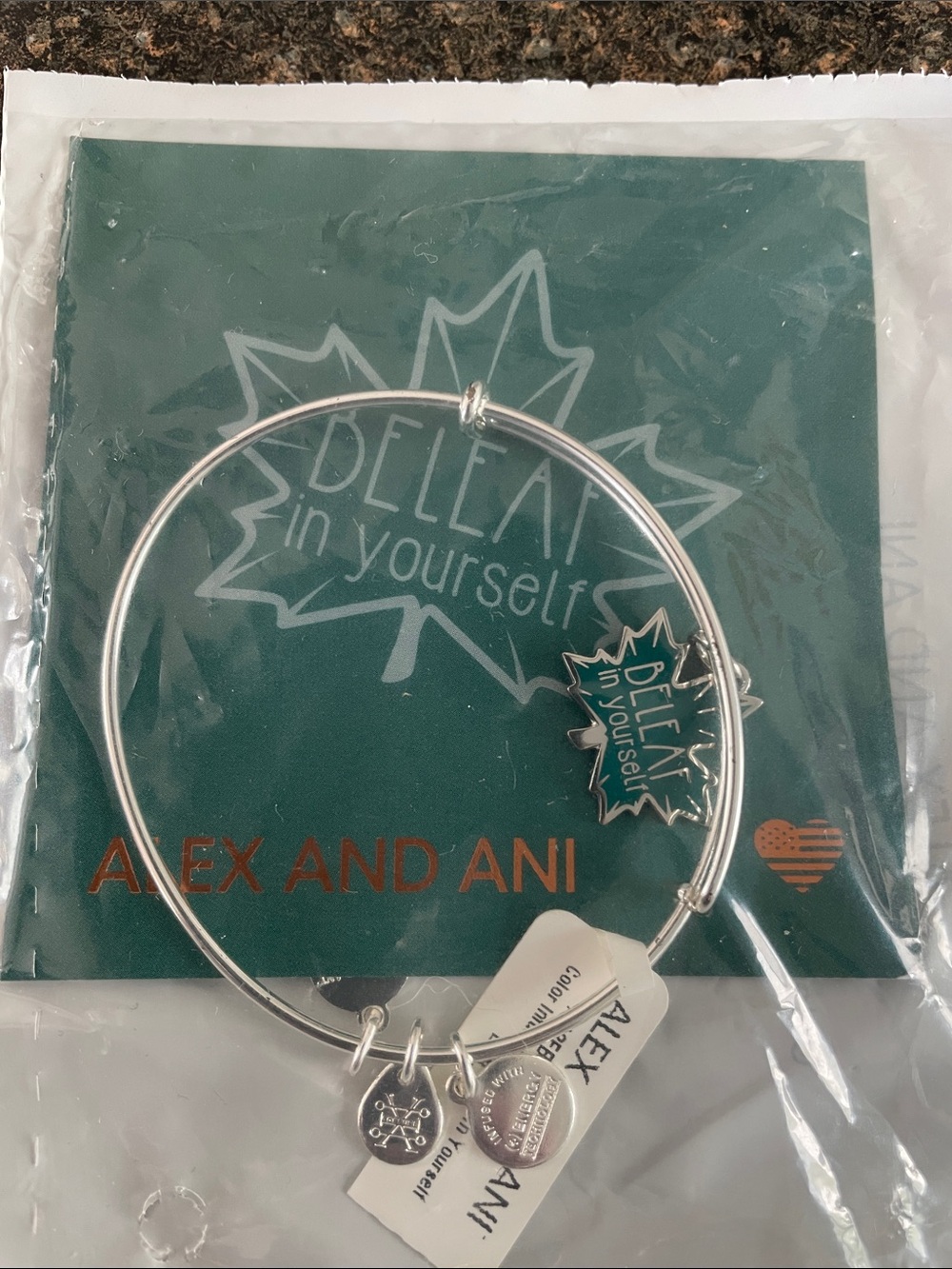 Alex and Ani Silver 'Beleaf in Yourself' Leaf Charm Bangle